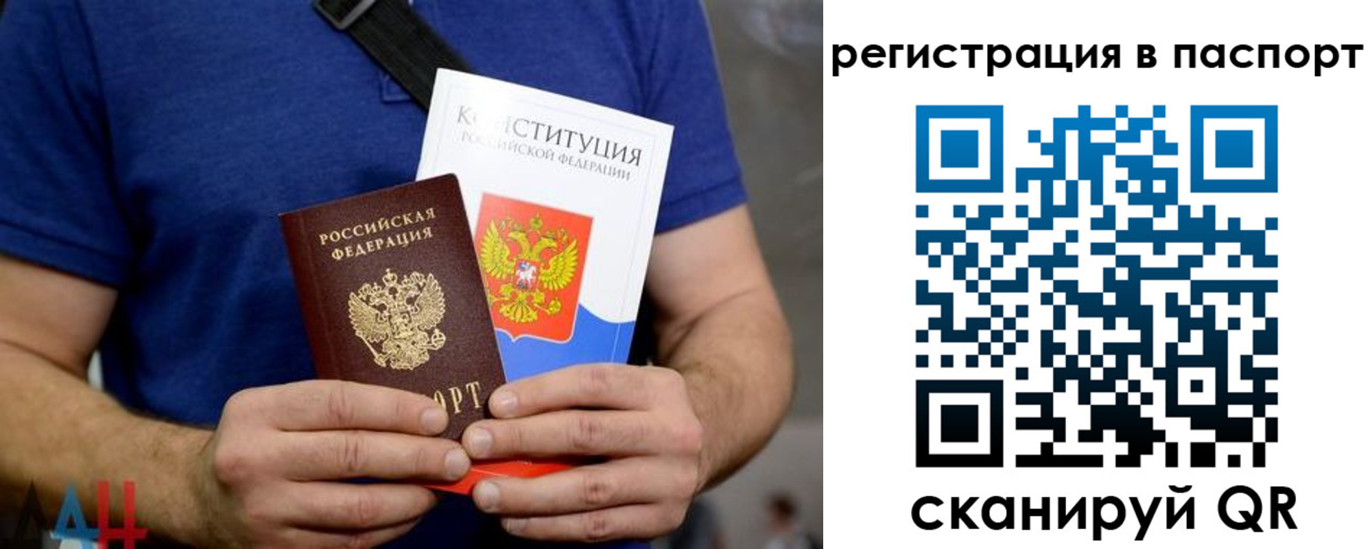 прописка гарантия в Шали